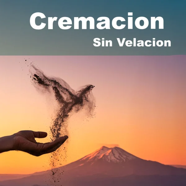 Paquete Cremacion Sin Velación / Hospital